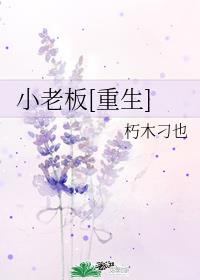 小老板[重生]